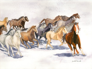 Mustangs in the Snow   Jeanette Falconetti, CO
